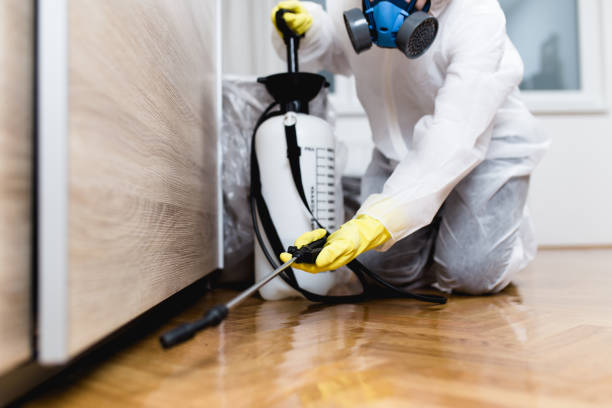 Best Pest Control Near Me  in Cortland West, NY