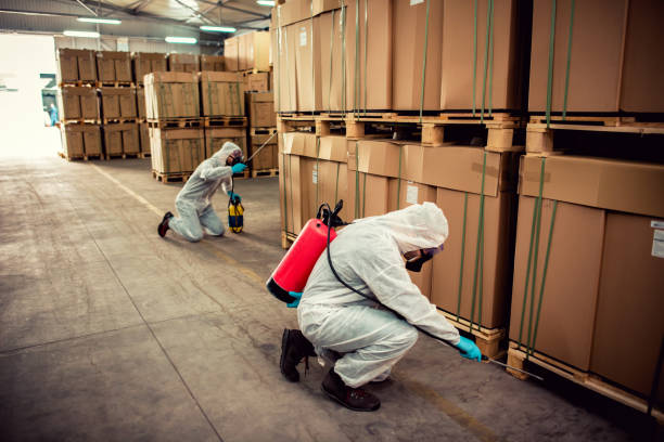 Best Residential Pest Control  in Cortland West, NY