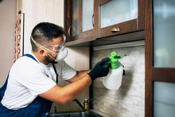 Best Pest Control for Homes  in Cortland West, NY