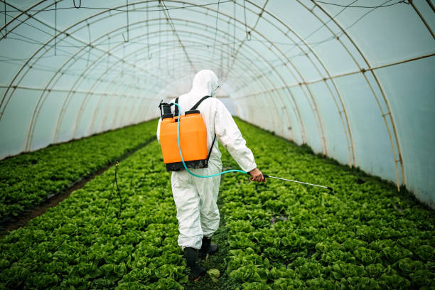 Best Residential Pest Control  in Cortland West, NY