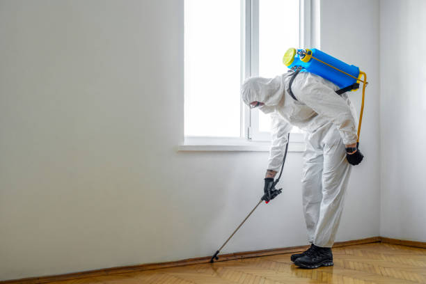 Best Emergency Pest Control  in Cortland West, NY