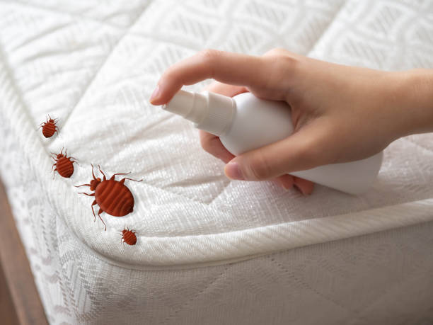 Cortland West, NY Pest Control Company